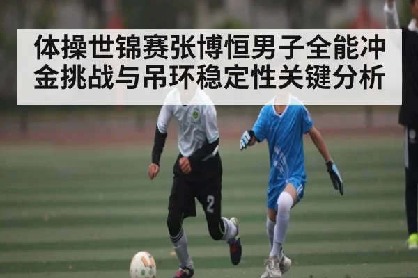 体操世锦赛张博恒男子全能冲金挑战与吊环稳定性关键分析